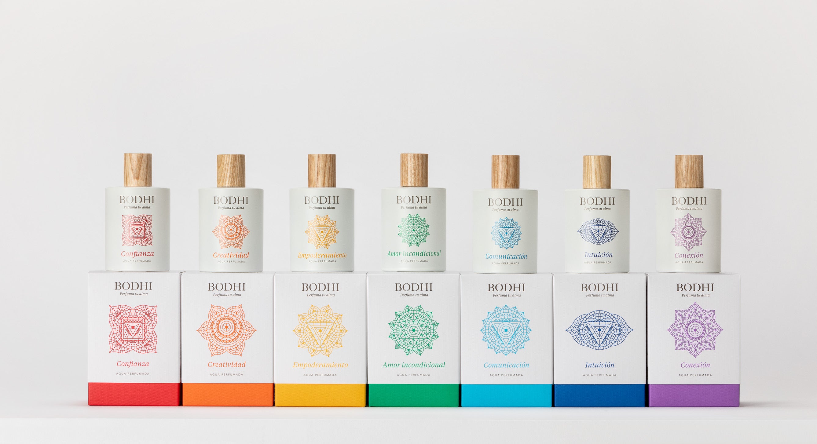 DESCUBRE TODA LA COLECCIÓN